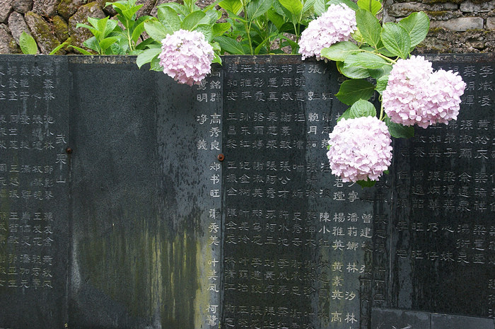 DSC04407.jpg