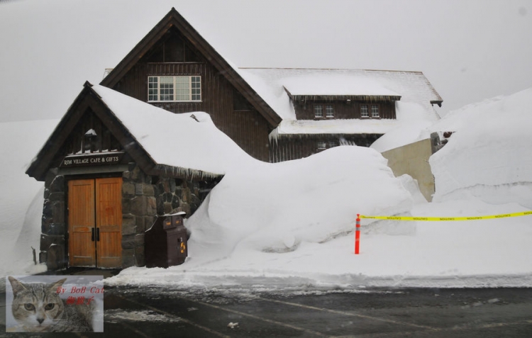 五月的积雪 (3).jpg