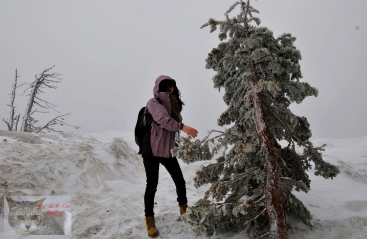 五月的积雪 (5).jpg