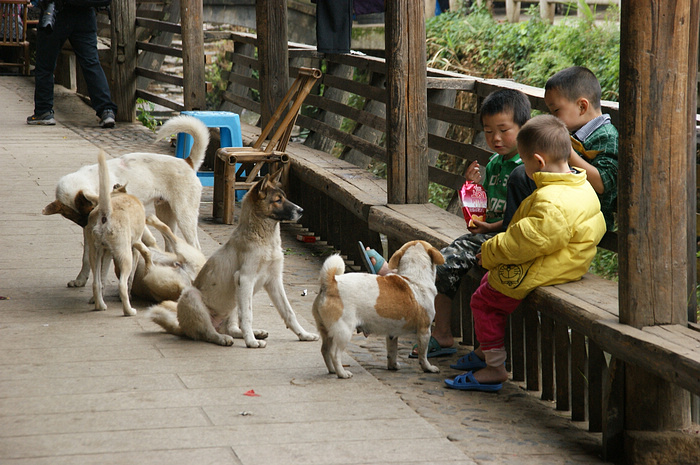 DSC04692.jpg