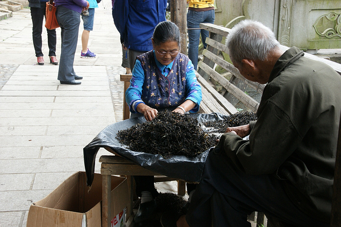DSC04713.jpg