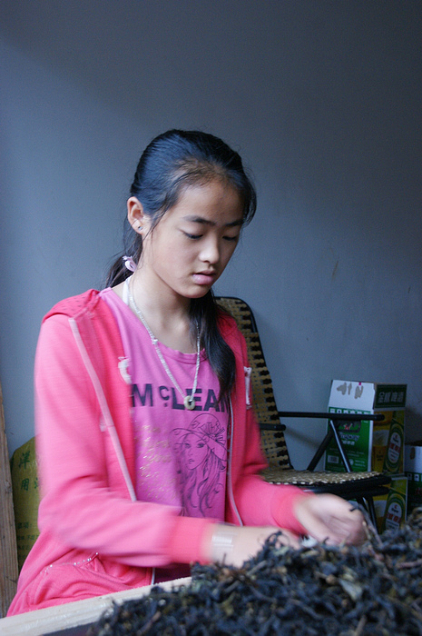 DSC04699.jpg