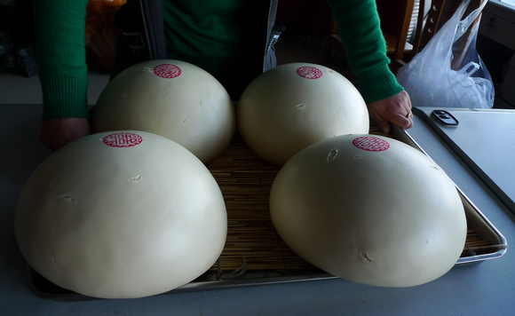 P1050102-.jpg