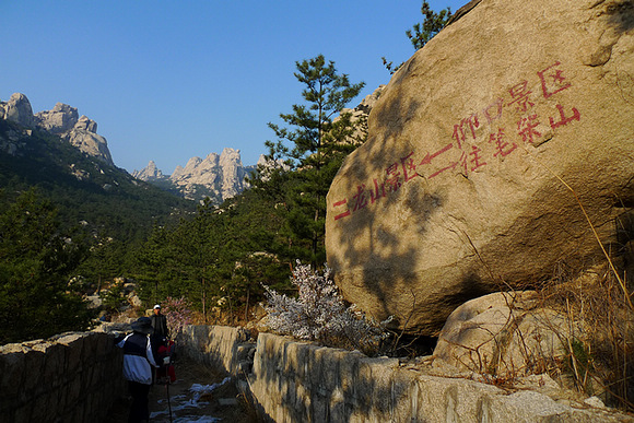 P1050155-.jpg