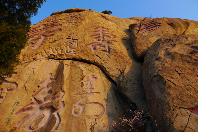 P1050136-.jpg