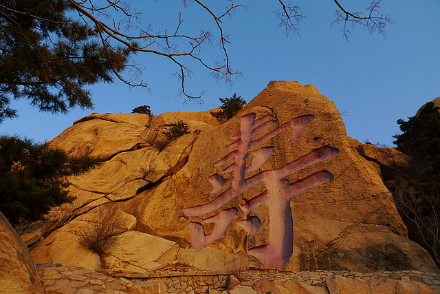 P1050135-.jpg