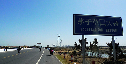 P1050223-.jpg