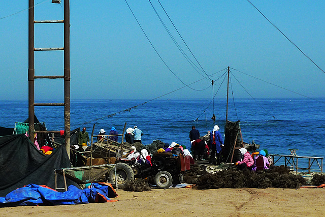 P1050217-.jpg