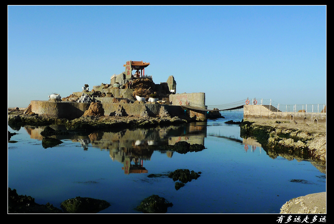P1050250-.jpg