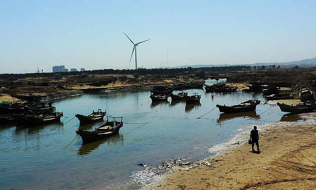 P1050226-.jpg