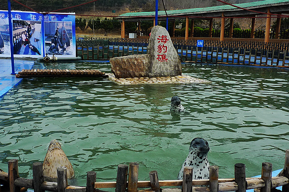 P1050463-.jpg