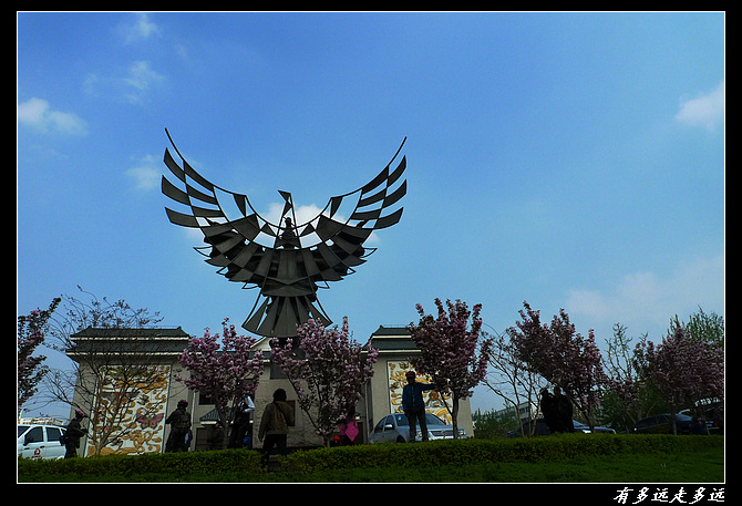 P1050511-.jpg