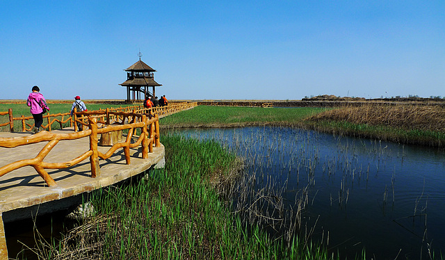 P1050530-.jpg