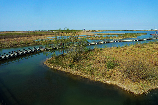 P1050542-.jpg