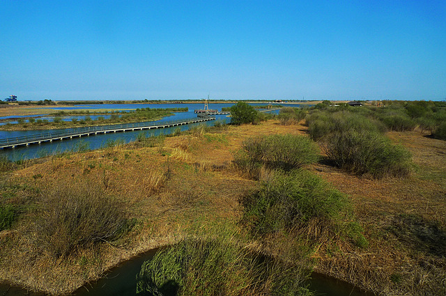 P1050541-.jpg