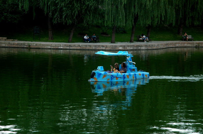 DSC_0036.jpg