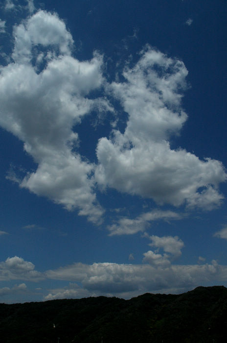 DSC_0090.jpg
