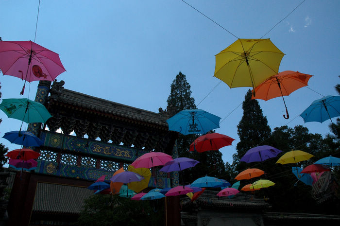 DSC_0115.jpg