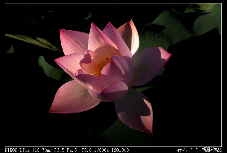DSC_0210.jpg
