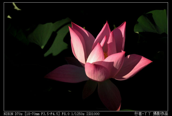 DSC_0211.jpg