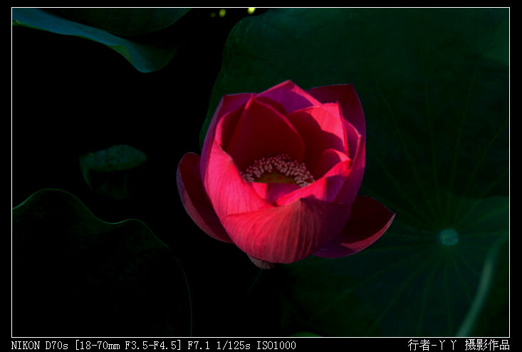 DSC_0216.jpg