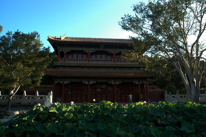 DSC_0224.jpg