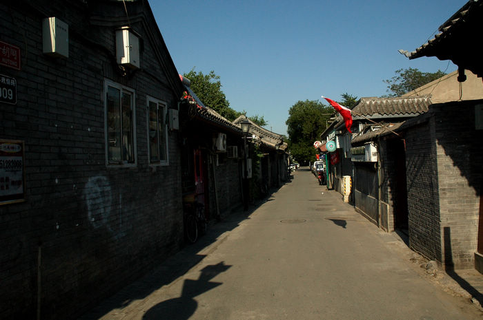 DSC_0260.jpg