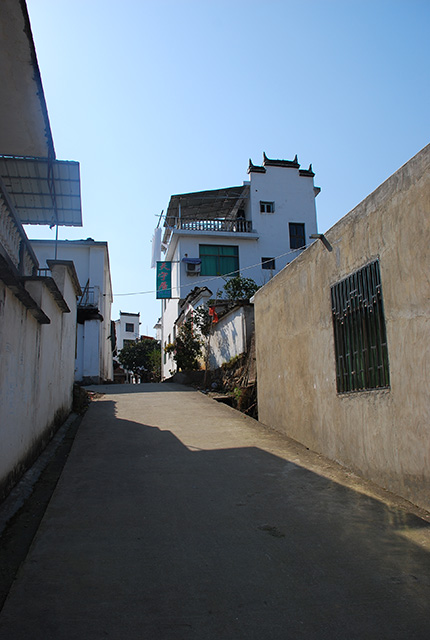 DSC_0678.jpg