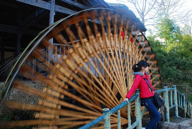 DSC_0736.jpg