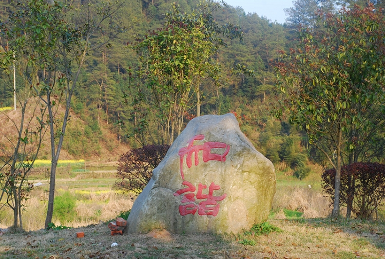 DSC_0767.jpg