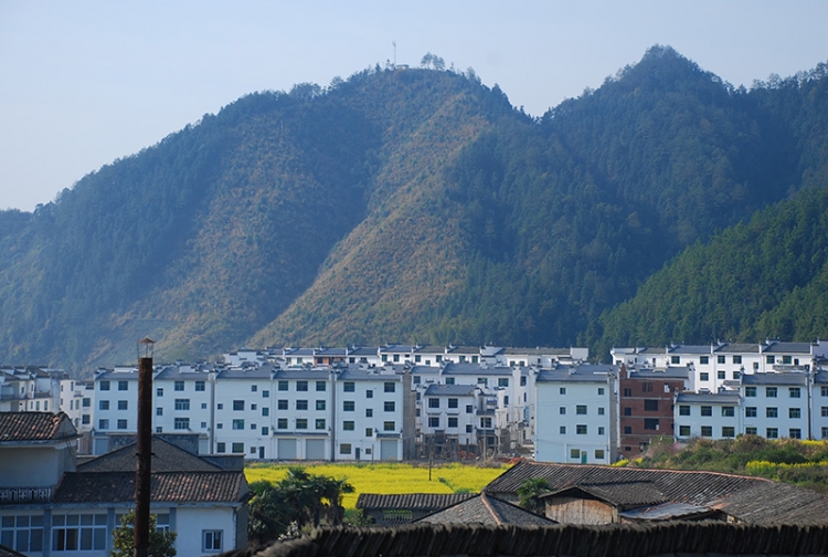 DSC_0812.jpg