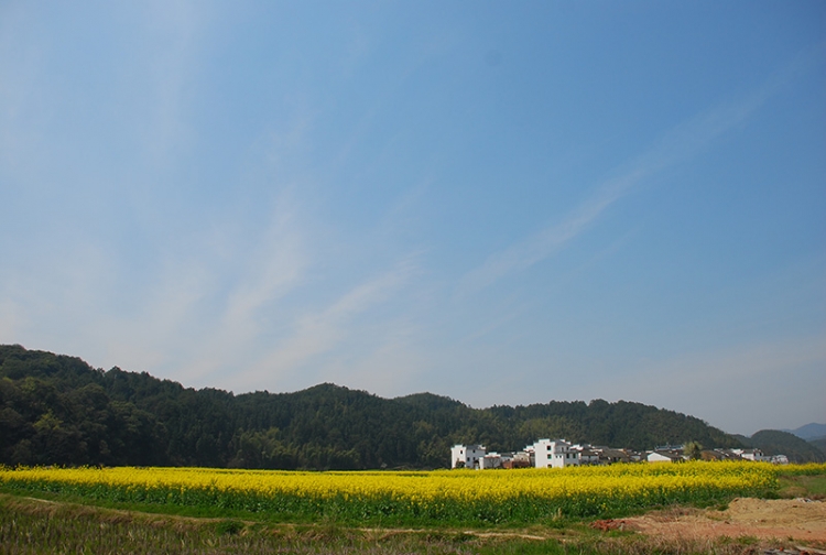 DSC_0895.jpg