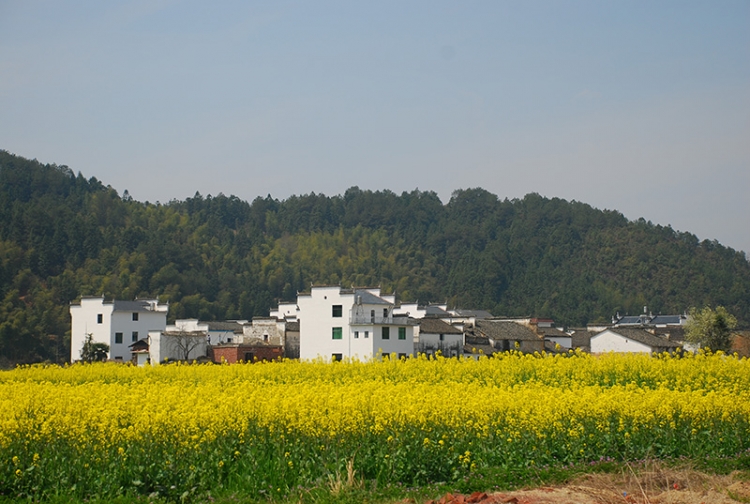 DSC_0893.jpg