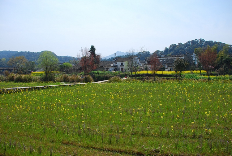 DSC_0898.jpg
