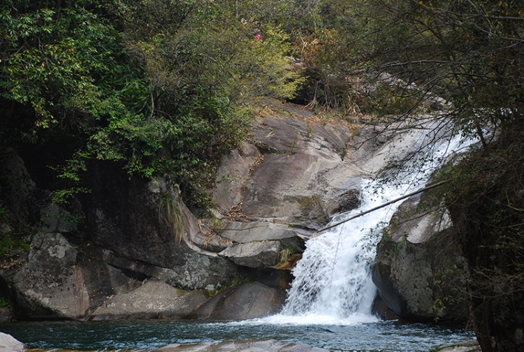 DSC_0995.jpg