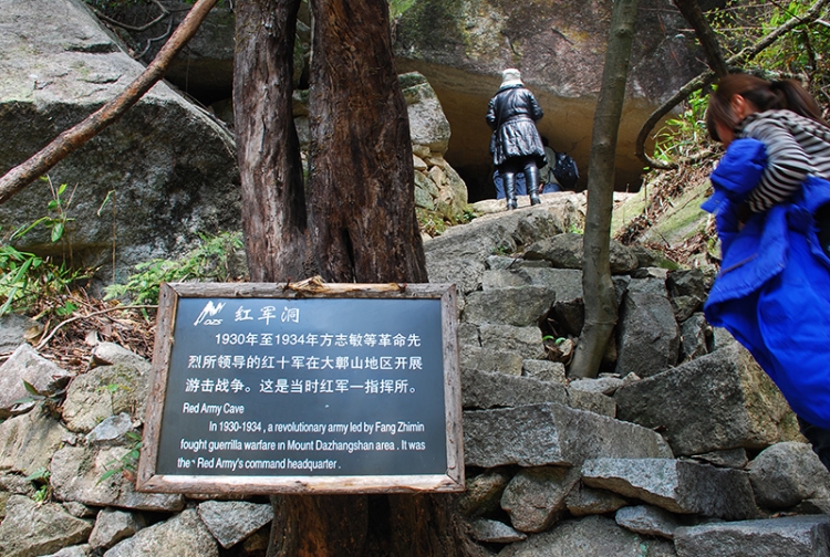 DSC_1000.jpg