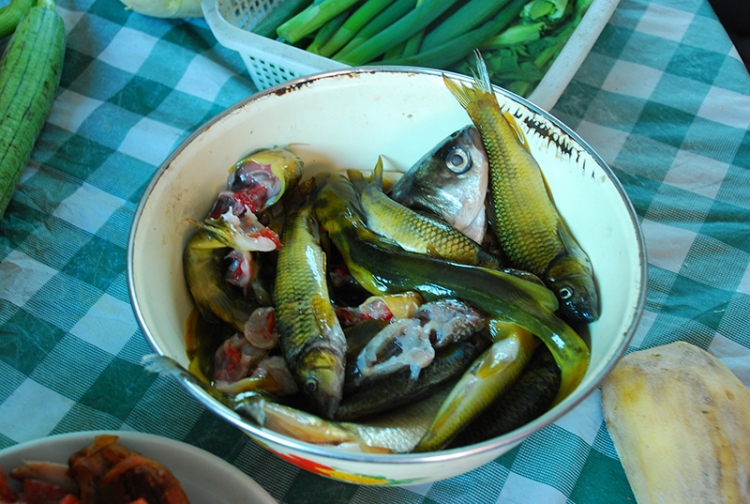 DSC_1059.jpg