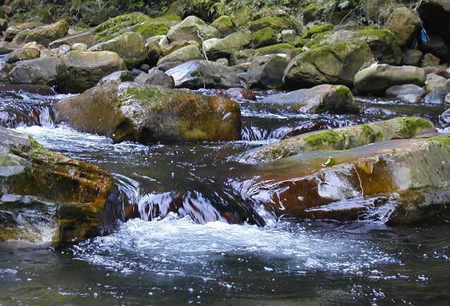 http_imgloadCAEO7KM1.jpg