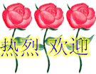 _8026025064724391740.gif