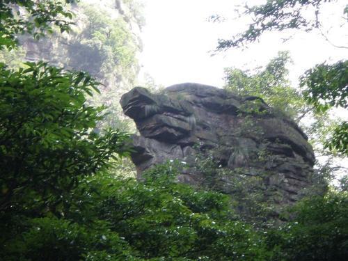 image006.jpg