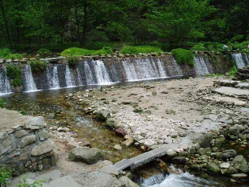 image009.jpg