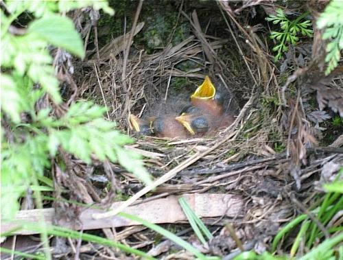 image023.jpg