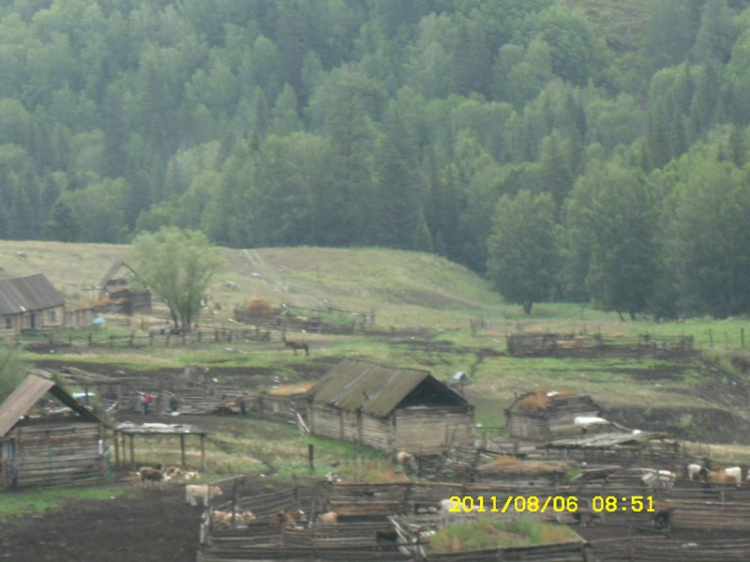 SDC12061_副本.jpg
