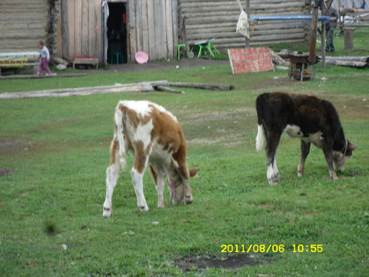 sdc12097_副本.jpg