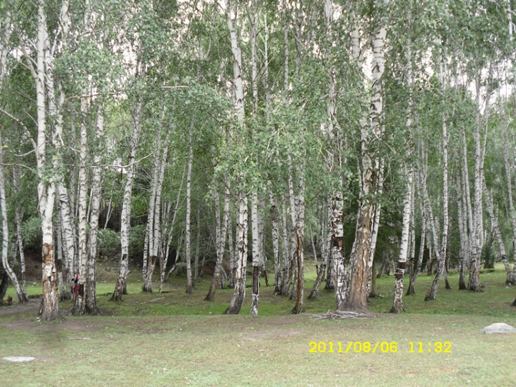 sdc12145_副本.jpg