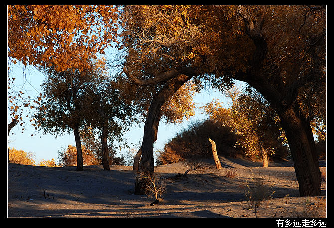 DSC_4480-2.jpg