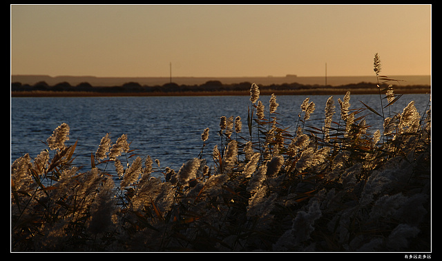 DSC_4198-.jpg