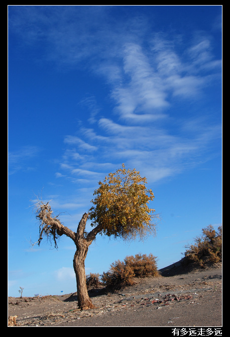DSC_3987-1.jpg