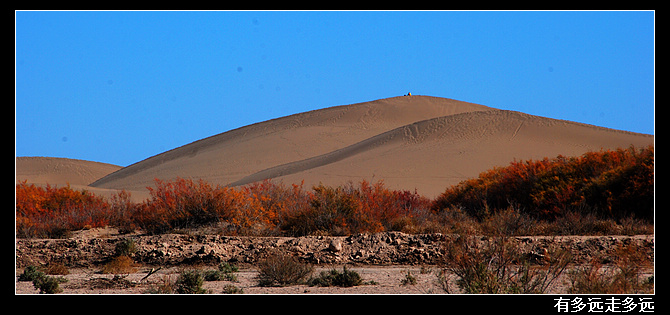 DSC_4315-1.jpg