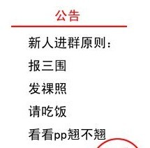 新人进群公告.jpg